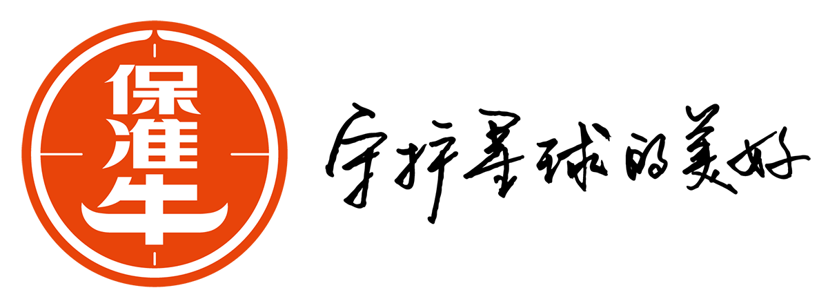 Baozhunniu logo