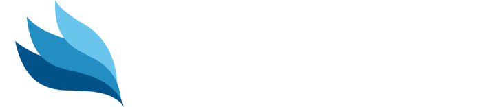 Celerity Pro logo