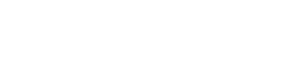 Insight Catastrophe Group logo