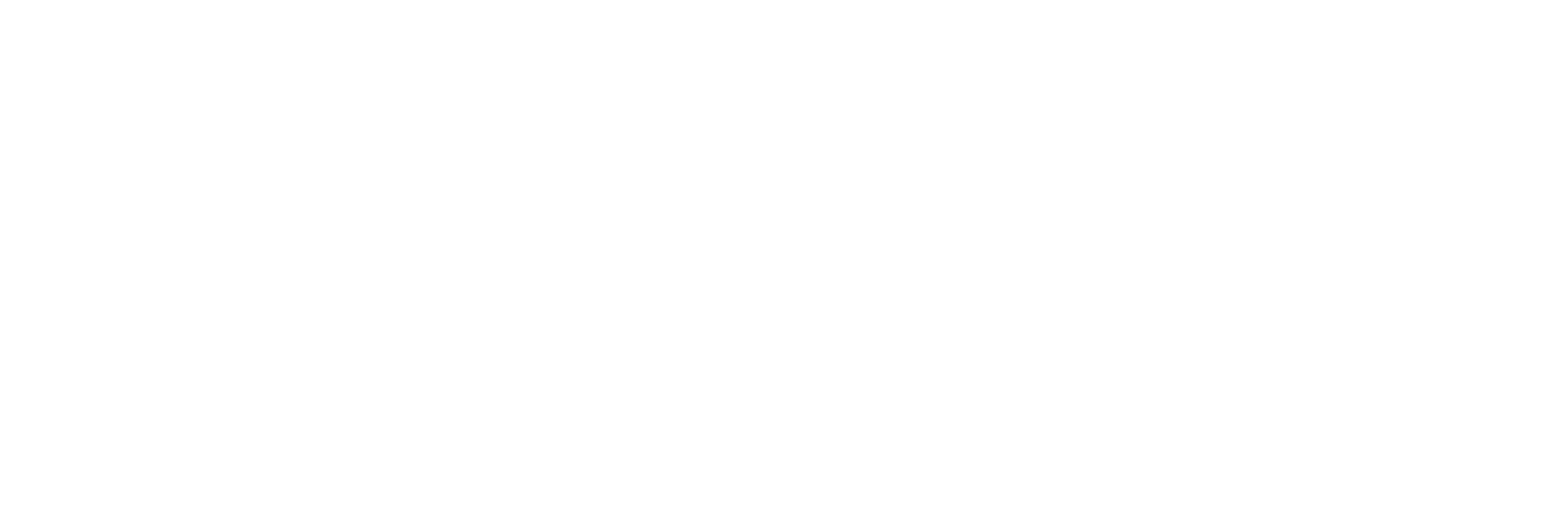 Kanguro Seguro logo