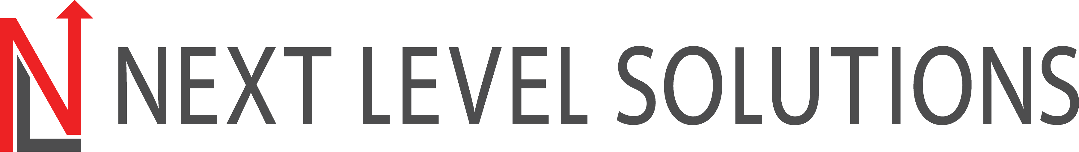 Next Level Solutions logo