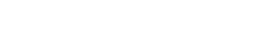 ViewSpection logo